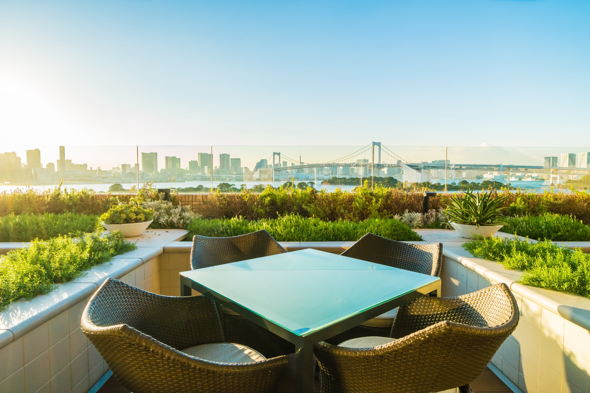 Luxury Flats with Terrace Delhi